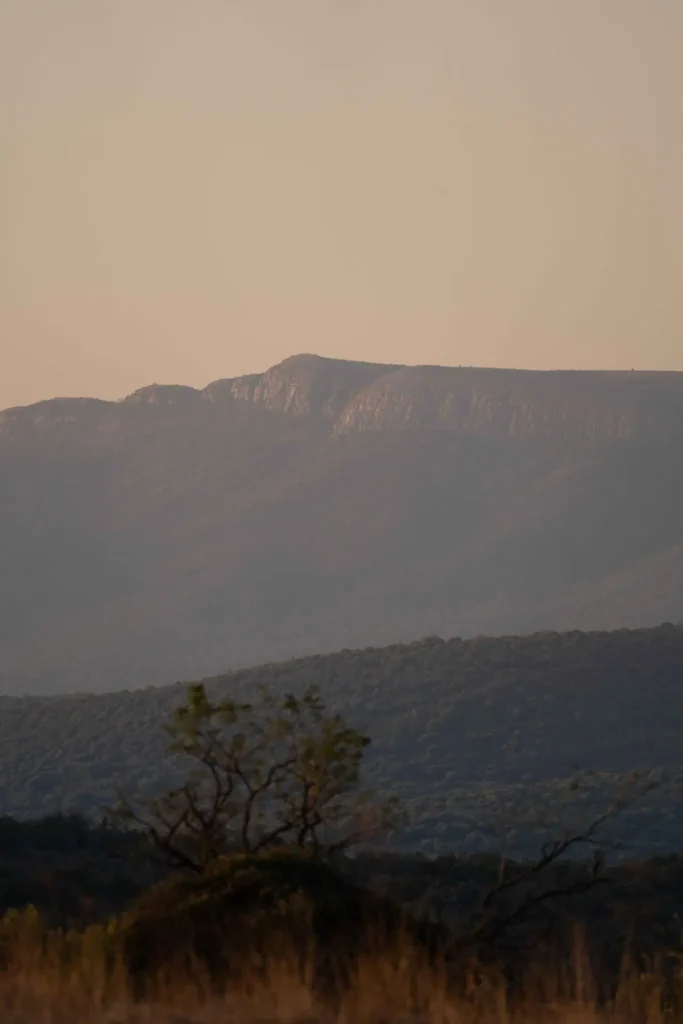 Scenery at the reserve